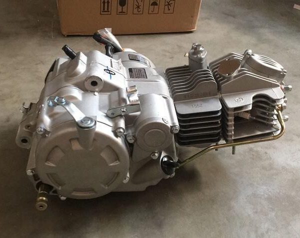 BLOCCO ZS155 ZHONG SHENG GPX 155cc 4 TEMPI PIT BIKE
