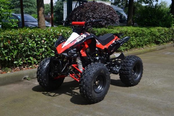 QUAD ATV 125 SPORT A110 - RUOTE 8 SEMIAUTOMATICO miniquad