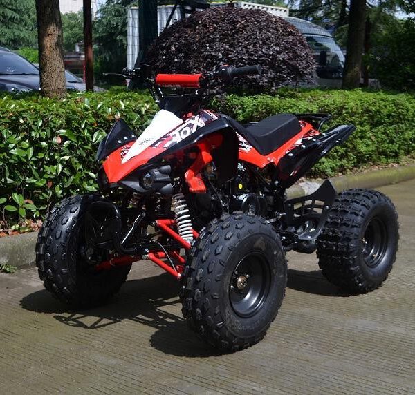 QUAD ATV 125 SPORT A110 - RUOTE 8 SEMIAUTOMATICO miniquad