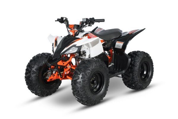AT110 PREDATOR - MINI QUAD ATV 110cc AUTOMATICO 4 TEMPI BY KAYO