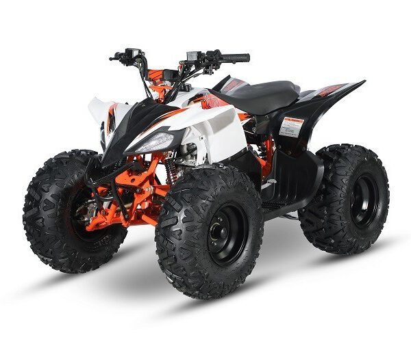 AT125 PREDATOR - MINI QUAD ATV 125cc SEMIAUTOMATICO 4 TEMPI BY KAYO