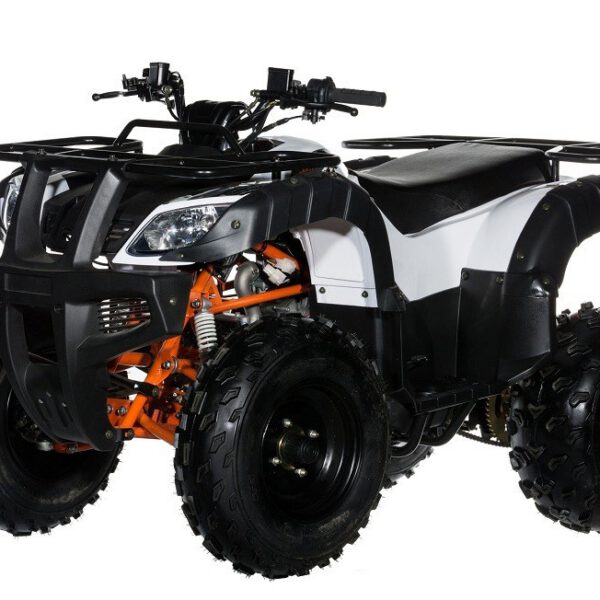 AU150 KAYO - QUAD 150CC UTILITY 4 TEMPI SEMIAUTOMATICO