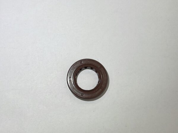 PARAOLIO 17X29X5 PER MOTORE YX170 PIT BIKE KAYO TT170 TT170R
