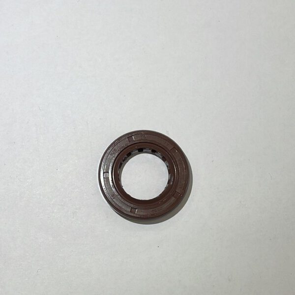 PARAOLIO 17X29X5 PER MOTORE YX170 PIT BIKE KAYO TT170 TT170R