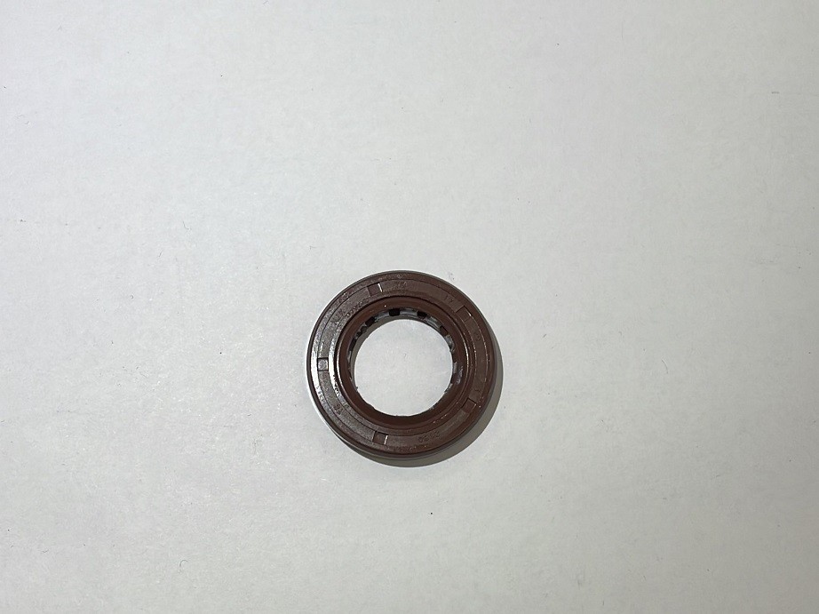 PARAOLIO 17X29X5 PER MOTORE YX170 PIT BIKE KAYO TT170 TT170R