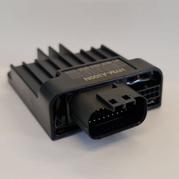 ECU CENTRALINA PER MOTORE QUAD ZS300 300CC HYM-A300N