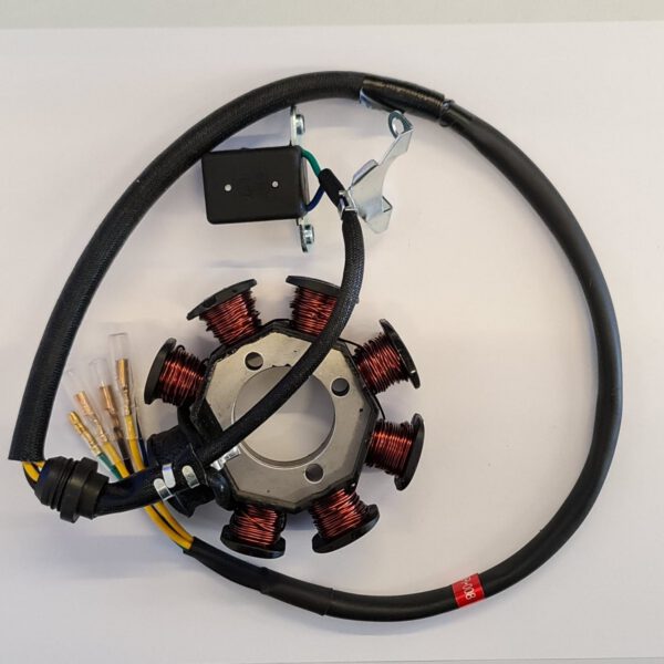 STATORE 8 BOBINE PER MOTOCROSS KAYO T4 2024 E PRECEDENTI BLOCCO MOTORE 250cc