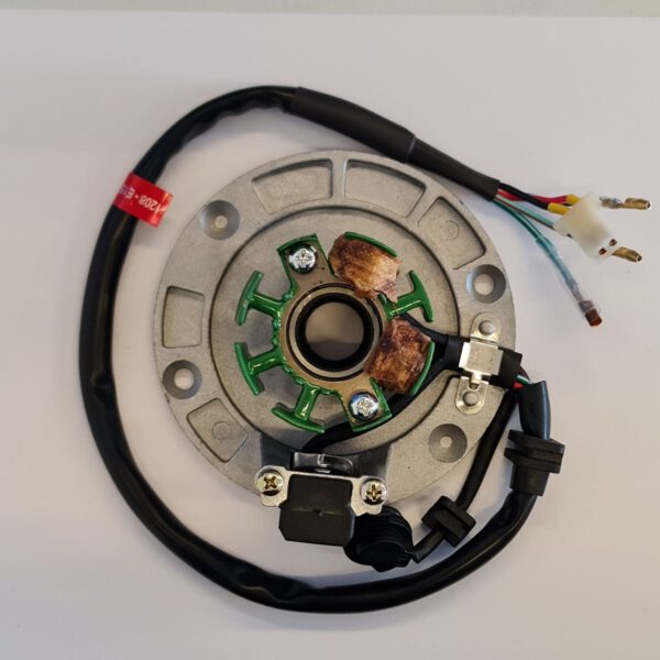 STATORE PER BLOCCO MOTORE ZONGSHEN ZS155 155CC