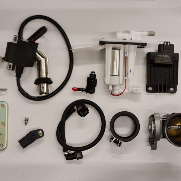 KIT DI INIEZIONE PER BLOCCO MOTORE QUAD ZS300 300cc