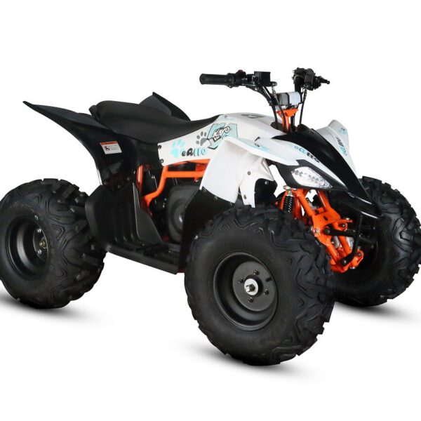 MINIQUAD ATV KAYO eA110 2100W 48V