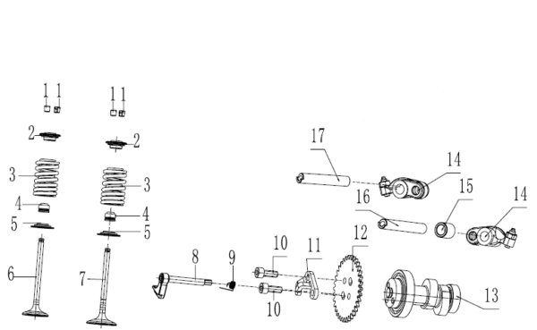 KIT VALVOLE BLOCCO MOTORE ZS190 ZHONG SHENG 190 190cc