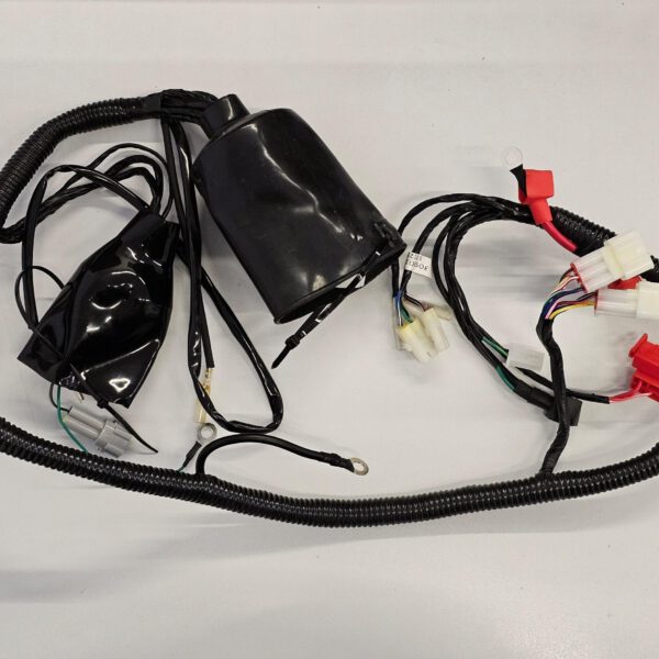 CABLAGGIO IMPIANTO ELETTRICO PER QUAD KAYO A200 A250 200cc 250cc