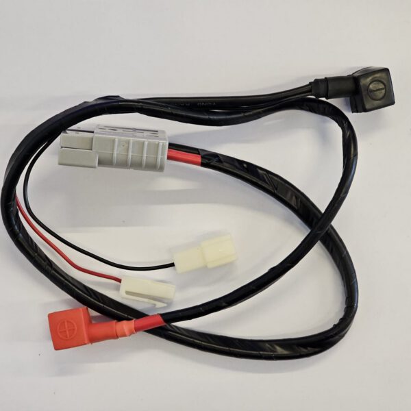 CABLAGGIO DI COLLEGAMENTO BATTERIE PER QUAD KAYO EA110