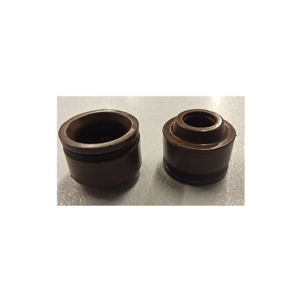 SET GOMMINI TENUTA OLIO GUIDA VALVOLA PER BLOCCO MOTORE PIT BIKE ZS155