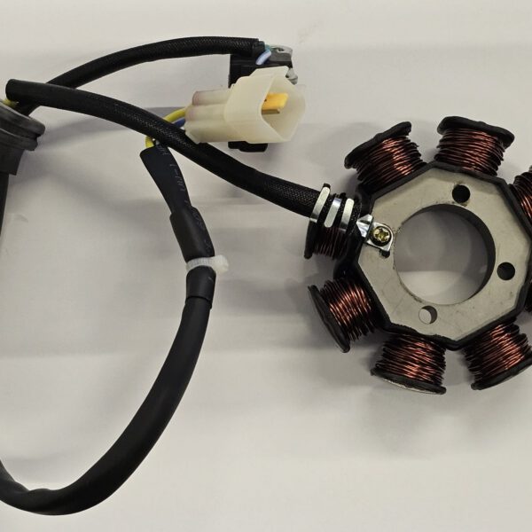STATORE 8 BOBINE PER BLOCCO MOTORE PIT BIKE ZS150 ZY150 150cc