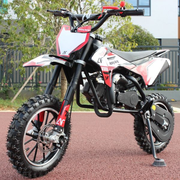 MINICROSS DRAGON 2 tempi 49cc racing doppio scarico