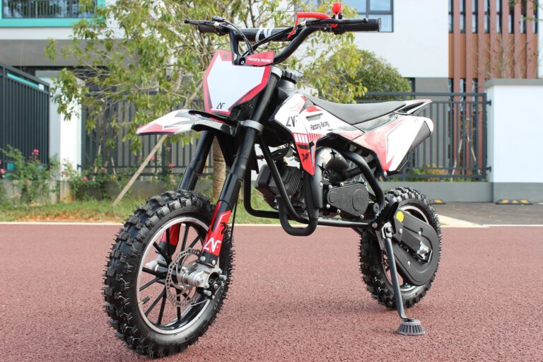 MINICROSS DRAGON 2 tempi 49cc racing doppio scarico