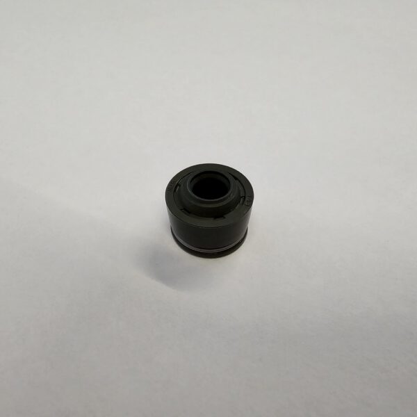 2pz GOMMINO TENUTA OLIO GUIDA VALVOLA PER BLOCCO MOTORE PIT BIKE YX170 170cc