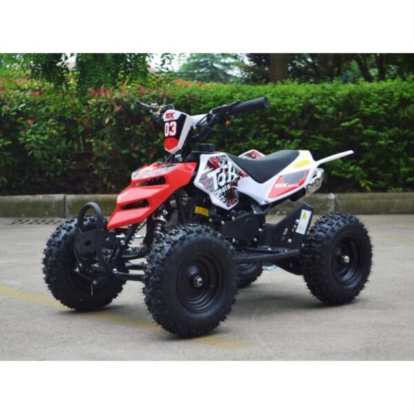 MINIQUAD RAPTOR XXL 49CC QUAD MINI ATV MINIATV ruote 6 carburatore 14mm